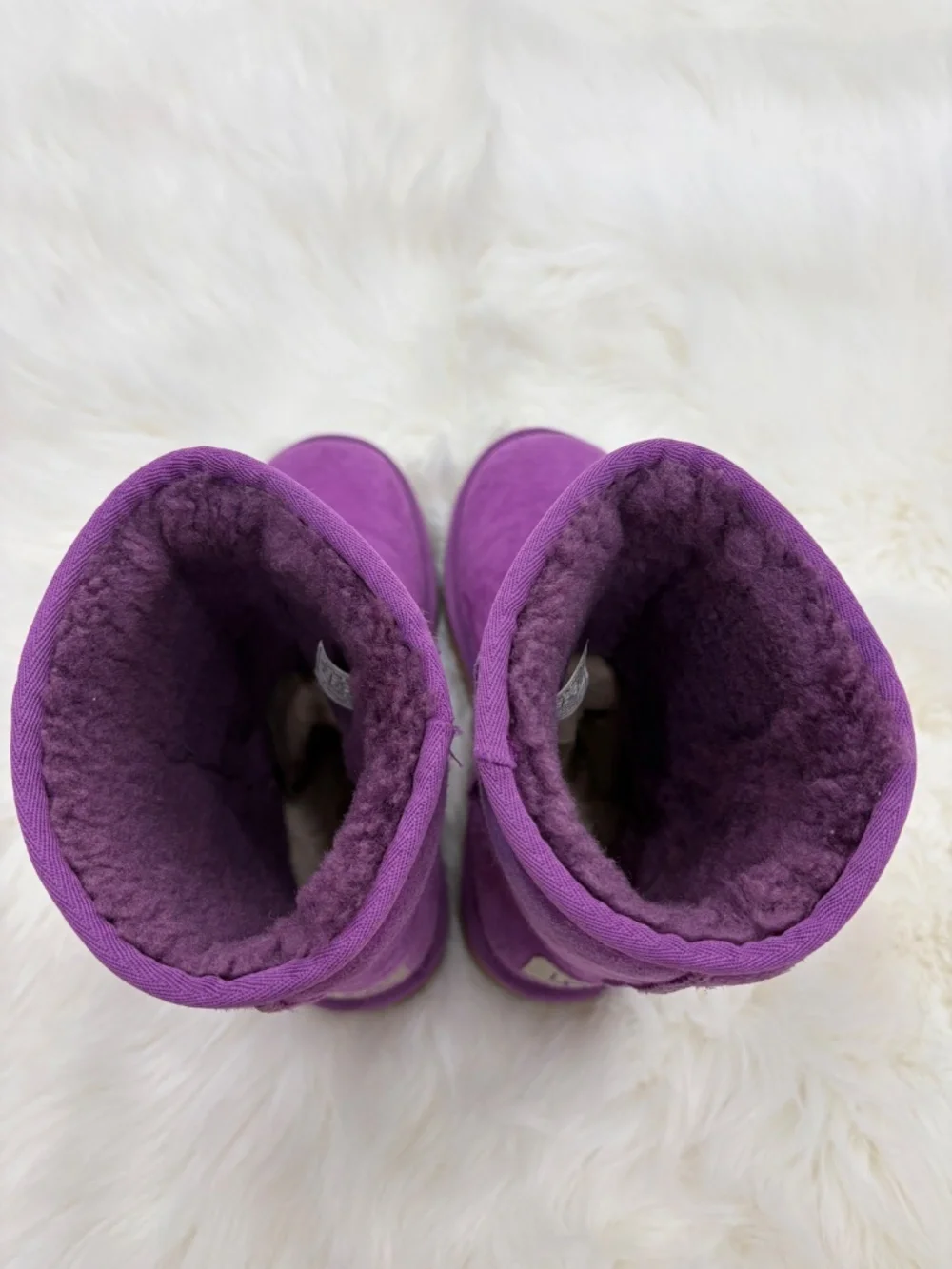 Purple Uggs